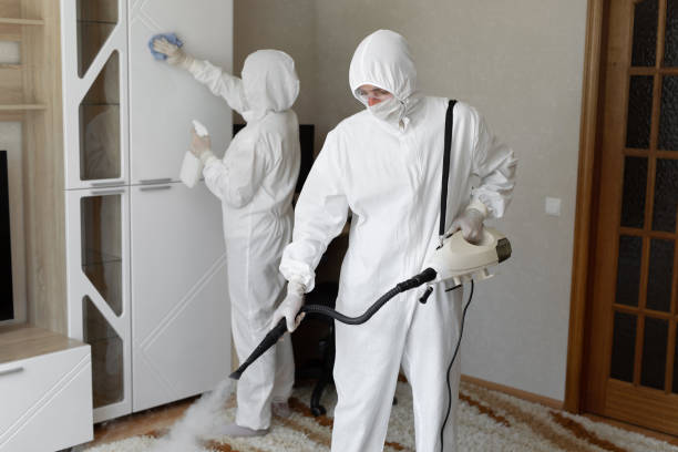 Best Certified Mold Removal  in Colona, IL