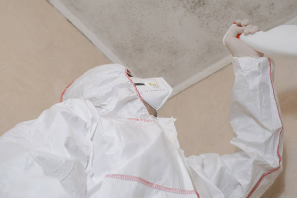 Best Residential Mold Removal  in Colona, IL