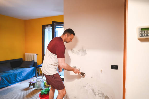Best Home Mold Removal  in Colona, IL